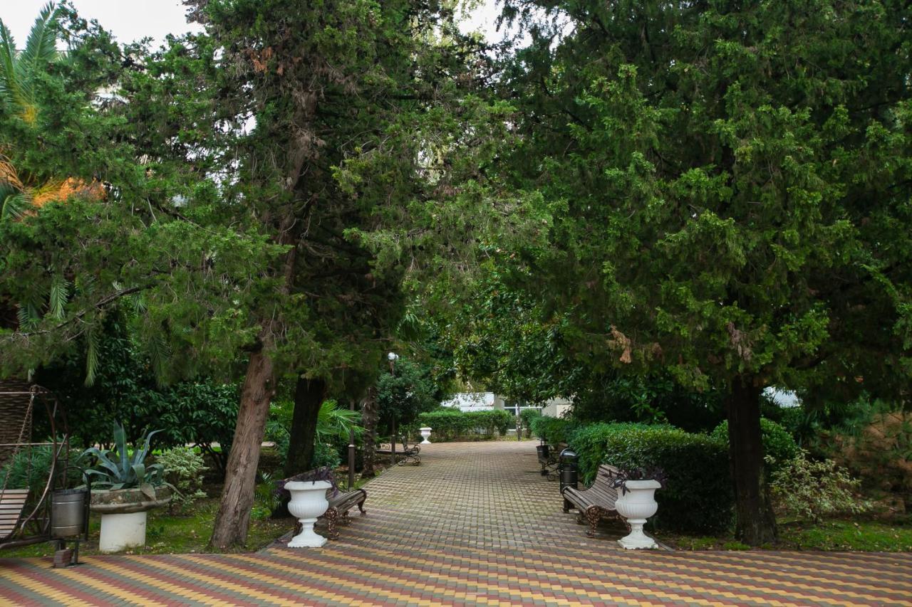 גגרה Amza Park Hotel מראה חיצוני תמונה